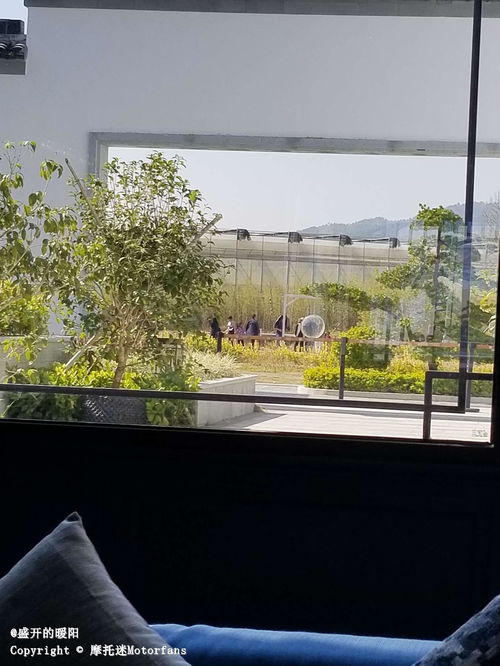 蘇明峰最新風水布局,各個房間的風水如何正確布置