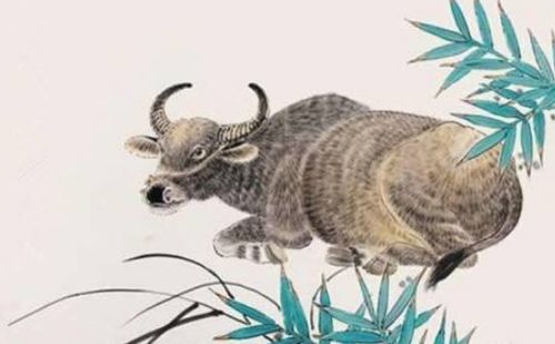 牛命五行屬什麼顏色衣服,屬牛幸運色是什麼顏色