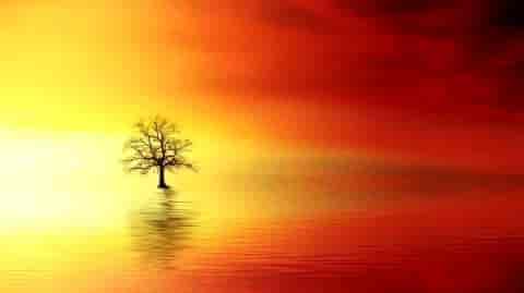 安葬犯命退是什麼意思,老人安葬後說犯五天煞什麼意思