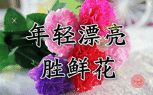 青春永駐容顏不老類似的祝福語,女神節祝福語有哪些?