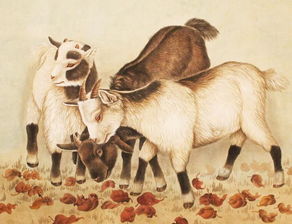 屬羊女1979生的本命佛,79年出生屬羊女人最好陪帶什麼本命佛