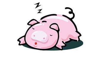 屬豬的媽媽生什麼屬相,父母都是屬豬的生個屬什麼的孩子好呢