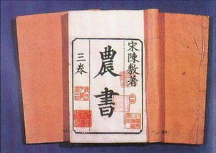 農是什麼意思,火車票上的農字是什麼意思,是農村戶口的意思嗎,有打折嗎