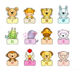 板命什麼意思是什麼生肖,木命是什麼意思