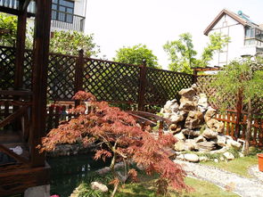 院子種石榴樹風水禁忌,院子里種石榴樹的禁忌