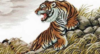 2022屬虎本命可以過生日嗎,屬虎2022年本命年運勢如何?