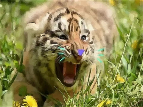 98屬虎本命戴佛手,虎本命年要佩戴什麼?