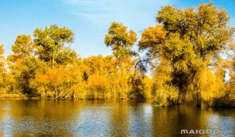 3月去哪裡旅遊最好,三月份去哪裡旅遊好