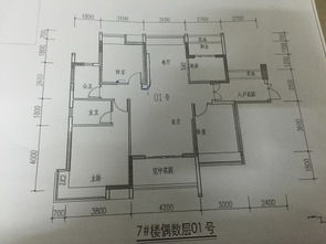 樓房進門朝向風水禁忌,請問住宅大門風水大門朝向風水有哪些忌諱!