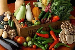 如何合理健康飲食,如何合理健康飲食