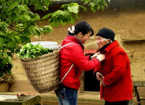 正月初一本命就過了嗎,本命年到底是從每年的元旦開始計算還是從正月初一開始計算啊?算陽