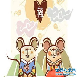 84和什麼屬相最配,1984年的和什麼屬相最配