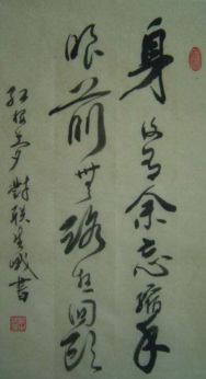 將手忘命是什麼意思,X