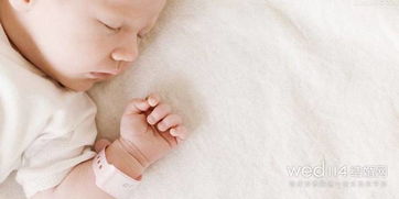 豬和狗哪個屬相寶寶好,男屬狗女屬豬生什麼寶寶好