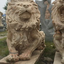 門口獅子風水禁忌,風水中在家門口放的兩個獅子有怎麼的說法,(傳說,聽說的都可以)