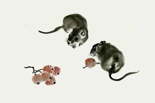 屬鼠和什麼屬相犯沖,老鼠和什麼生肖相沖