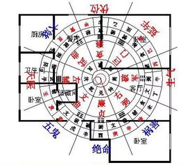 庚戍日生風水布局,庚戍年9月3日出生的命運和八字