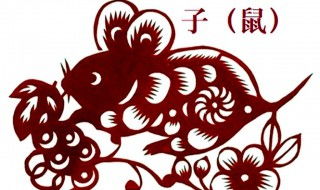 96屬鼠六月是什麼命,九六年的老鼠是什麼命