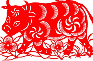 85什麼是什麼命,1985年是什麼