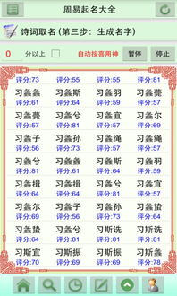 取名網生辰八字屬相,生辰八字起名