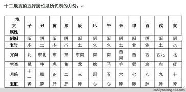 出生份與屬相命運,出生年份生肖看終身命運