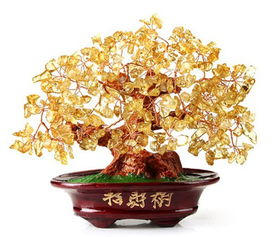 招財樹油畫風水禁忌,招財樹的擺放禁忌及作用是什麼呢?