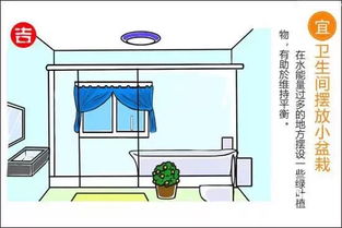 坐廁蹲廁風水布局,家居衛生間坐便器的擺放有何講究