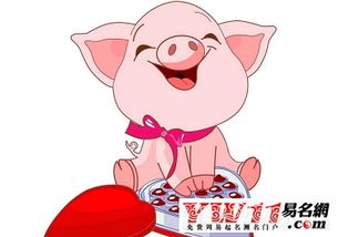 陰歷十二月豬什麼命,屬豬的12月運程