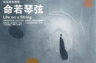 命若琴弦給了什麼啟示,《命若琴弦》的讀後感