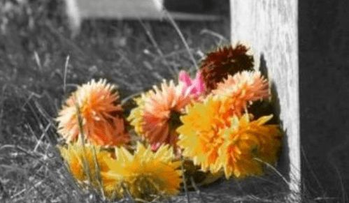 親人連續去世預示什麼,一個月連續兩位親人去世,請問懂風水的師傅幫說說利弊,對父母有什