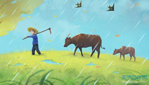 牛和豬屬相配嗎婚姻,牛和豬婚姻如何