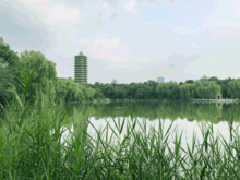 漂亮的中國風水布局,300m²的辦公室應當如何安排風水布局?