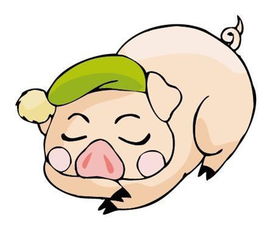 71屬豬的屬相婚配表,71年屬豬的和什麼屬相最配