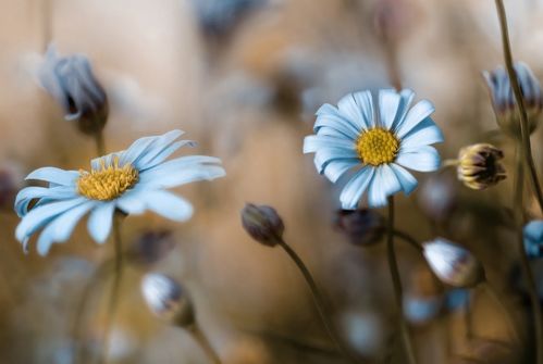 得命者天賜順命者運昌什麼意思,「順天者昌,逆天者亡」中的「天」是指()