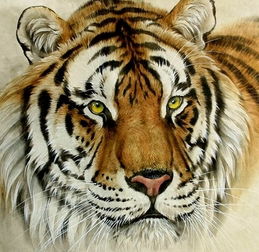 和虎相沖的屬相是什麼,屬虎的和什麼相沖