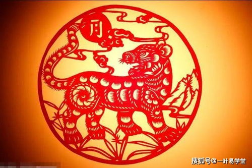 87虎本命男性佩戴什麼好,虎年本命年,男生帶什麼好呢