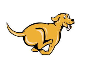 屬狗人最佳婚配屬相,屬狗的和什麼屬相最配?相剋?