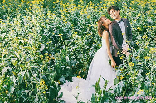 祝福情侶99的小短句,祝福情侶99的幽默句子