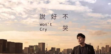 說好的相依為命是什麼歌,我愛的人沒有嫁給我歌詞