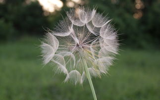 五行長流水什麼命,長流水命缺什麼