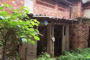 農村廁所位置風水布局,農村樓房廁所的位置風水