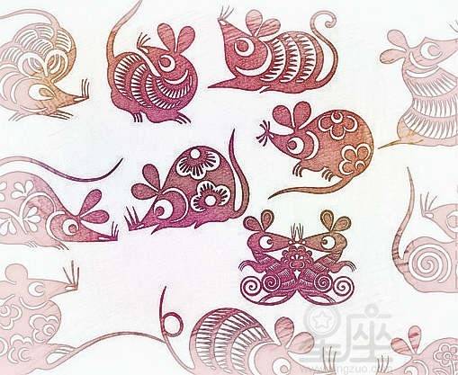 女鼠和什麼屬相相沖,老鼠和什麼生肖相沖