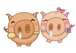 屬豬的和什麼屬相最克,什麼屬相剋屬豬