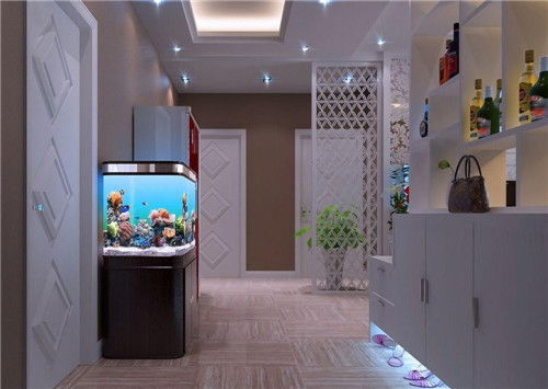 玄關魚缸風水禁忌,玄關魚缸風水有哪些禁忌?