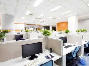 10平方個人辦公室風水布局,辦公樓風水布局有哪些講究