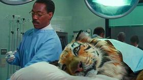 人投胎後還是自己本人嗎,如果真有投胎轉世之說,人去世後,會投胎未來還是以前