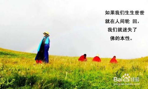 見性是什麼意思,什麼是見性?