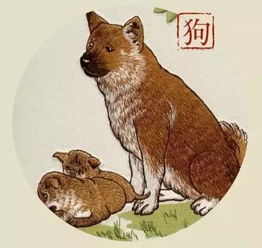 70屬狗的風水禁忌,龍年生的人狗年忌諱什麼?