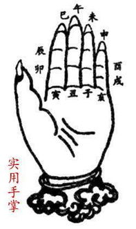 命帶戌亥丑會什麼樣,1984年屬鼠和1994年屬狗的八字合不合