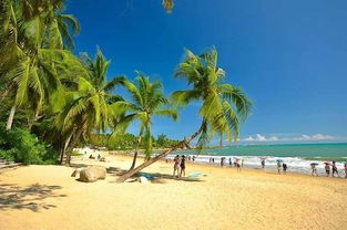 冬天情侶去哪裡旅遊比較好,國內有哪些冬天適合情侶旅遊的地方